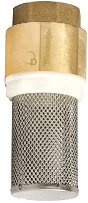 Clapet anti-retour pour pompe en laiton 1 1/4