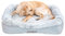 JOYELF XLarge Memory Foam Hundebett Orthopädisches Hundebett & Sofa mit abnehmbarem waschbarem Bezug und Abnehmbarer Matte