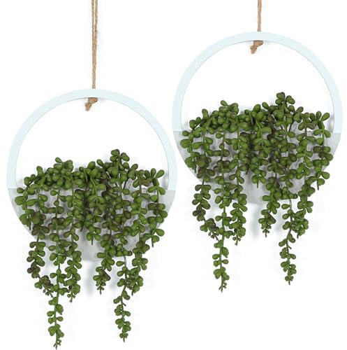 Hobyhoon Hängepflanze Künstliche Pflanzen, Sukkulenten im Topf, 31 cm, Fake Pflanzen Deko für Wohnzimmer, Dadezimmer, Küchen, Fensterbank, Wanddekoration