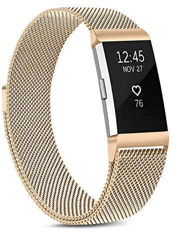 Oumida Fitbit Charge 2 Replacement Metal Strap for Women Men - Adjustable Wristband With Magnet Lock (Rose Gold, L)