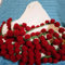 HIDRUO Bouquet Blanket Crochet, Flowers Rose Bouquet Blanket Handmade, Crochet Kit for Beginners, Soft and Lightweight Flower Knitted Throw Blankets(Material Pack) (F)