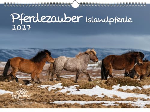 Pferdezauber Islandpferde DIN A3 Kalender für 2027 Pferde und Fohlen - Seelenzauber