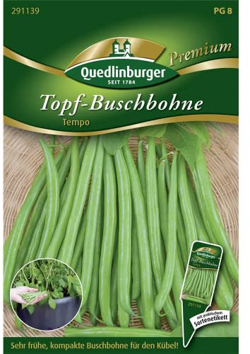 Topf-Buschbohne, Tempo NEU