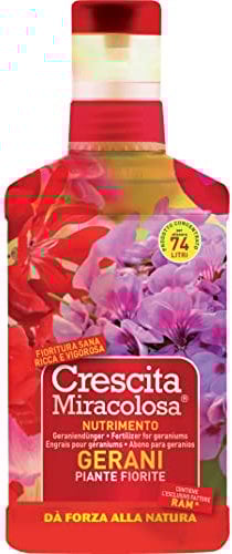 Miracolosa crescita dei gerani con il prodotto da 750 ml