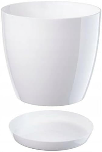B2C Plant Pot Flower 20 Colours 9 sizes Gloss Plastic Plant Pots Planter Saucer Tray Deco (16 cm/ 6.3 inch, White)