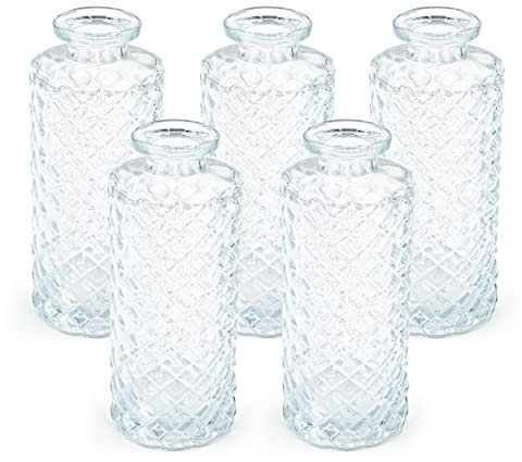 Blümelhuber 5er Set Kleine Vase Glas Deko Hochzeit - Vase Klein - Vase Modern - Deko Frühling - Pflanzen Deko Trockenblumen Set Vasen Hochzeitsdeko (Weiß)