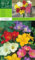 Freesienzwiebeln : Freesia - Freesie  verschiedene Sorten  5 Blumenzwiebeln (Prachtmischung einfach)