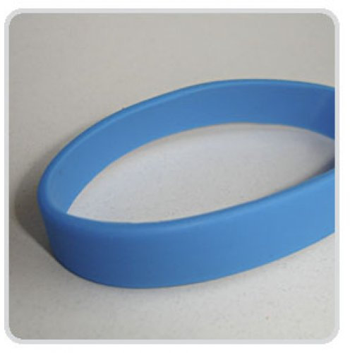 Everflag Silikon-Armband: Hellblau
