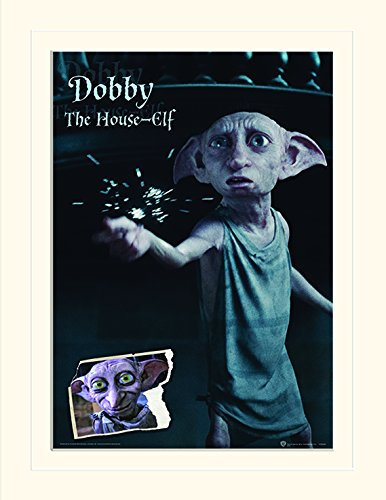 Wizarding World Harry Potter 'Dobby' montiert Drucken, 30 x 40 cm