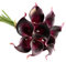 Gshy Kunstblumen Arum Lilien Calla Touch Realistische Blumen für Blumensträuße Hochzeit Haus Hotel Garten Stoff 4 Stück (Purpur)
