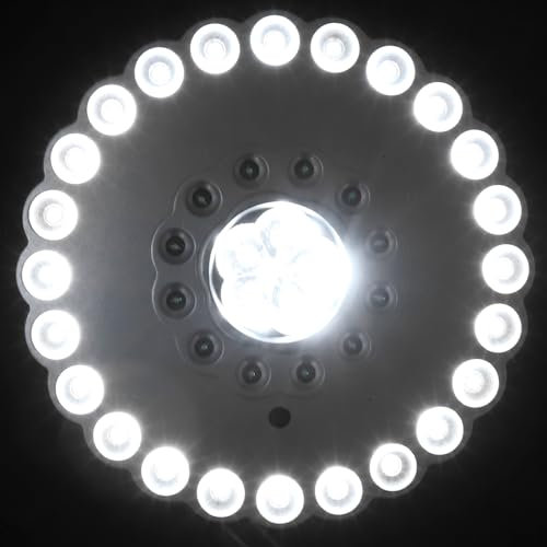 jojofuny 2 Stück 36 Led-campinglampe Led Camping Lichter Schirmstange Gartenschirm Mit Haaren Für Männer Draussen Zeltlampe Zelt Licht Zeltbeleuchtung Lagerlichter Batterie