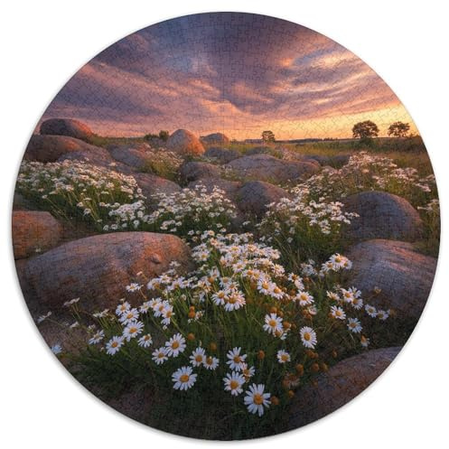 Daisies Rocks and Die Sonneset Landacape 1000pcs (67.5x67.5cm) Schwer Puzzle Lernspiel Impossible Herausforderung Spielzeug Für Erwachsene Kinder