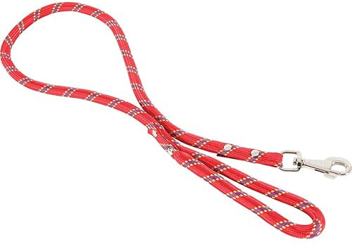 Laisse nylon corde 6 m rouge largeur 13 mm environ pour chien/Zolux