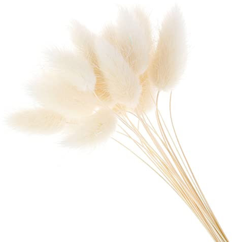 YIWOYI 50 Stück Kaninchen Schwanz Gras Natürliche Getrocknete Blumen Plüsch Bunte Blume Kaninchen Schwanz Gras Fuchsschwanz Lange Bündel Pflanzen Dekor (weiß)