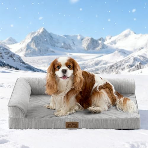 COZY KISS Kühlendes Hundebett Mittelgroße Hunde, Q-MAX>0.4 Orthopädisches Hundekorb mit Seiten, Hundesofa mit Abziehbarer Bezug & wasserdichte Innenlage, Weichhe Hundebetten, Grau, M(76x51x15 cm)