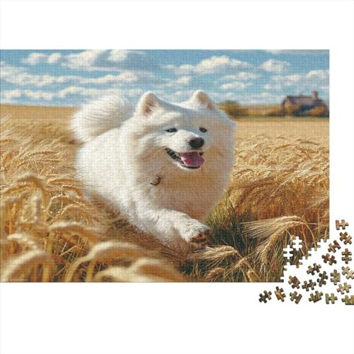Spitz Puzzle 1000 Teile 70x50cm Recyclingpapier für Frauen Goldenes Feld Puzzle schwierig herausfordernd Zeitvertreib Geschenk