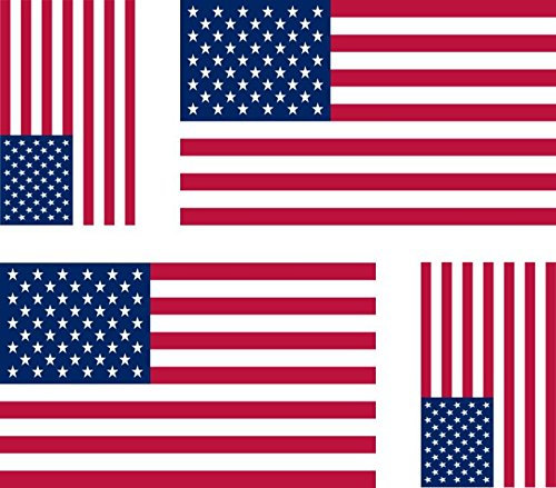 Akachafactory 4 x Autocollant Sticker Voiture Moto Drapeau USA amerique americain Etats Unis