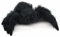 Uni-Toys - Schwarze Spinne - 15 cm (Länge) - Plüsch-Spinne - Plüschtier, Kuscheltier, Schwarz