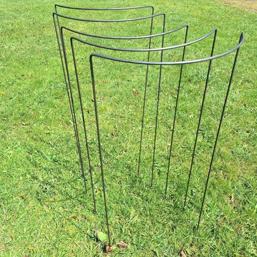 Plant Support, traditional curved, 6mm Mild Steel, Made in UK (100cm tall curved). As seen on TV and in gardening magazines.