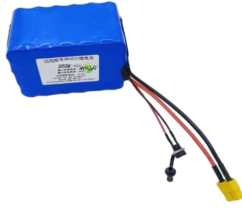 WILLQ Batteria agli ioni di Litio Ricaricabile Nest Boat da 24 V, 12 V, 15 Ah, 20 Ah, 30 Ah, per Barca telecomandata, Batteria di Ricambio agli ioni di Litio con Spina CC + XT60
