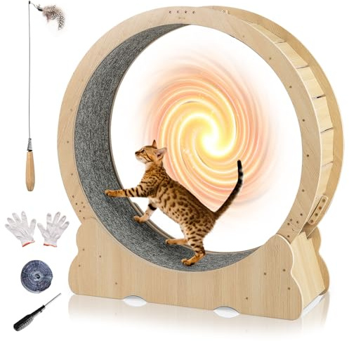 SOARS Katzenlaufrad für große Katzen mit abnehmbarem Teppich | Katzenrad 101cm mit Katzenangel, ultra-leises Katzen Laufband
