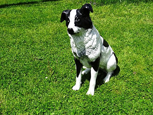 DEKO VERTRIEB BAYERN XL Border Collie LEBENSGROSS~Figur~HUNDEFIGUR LEBENSGRÖSSE~Hund Deluxe TOP Gartendeko ~Garten Dekoration