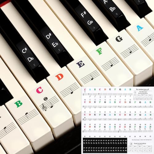 Amabro Waterproof Piano Stickers for 37/49/54/61/88 Key, Transparent Removable Piano Keyboard Letters, Reusable Piano Keyboard Note Labels Piano Stickers for Beginners(Multicolour)