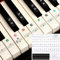 Amabro Pegatinas impermeables para teclado de piano de 37/49/54/61/88, letras transparentes extraíbles para teclado de piano, etiquetas de notas reutilizables para principiantes (multicolor)