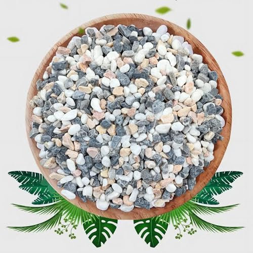Natural Mixed Color Pea Gravel Pebbles, 2lbs (1/5 Inch) Decorative Stones for Succulents, Indoor Plants, Vases, Aquariums, Top Dressing, and Outdoor Landscaping