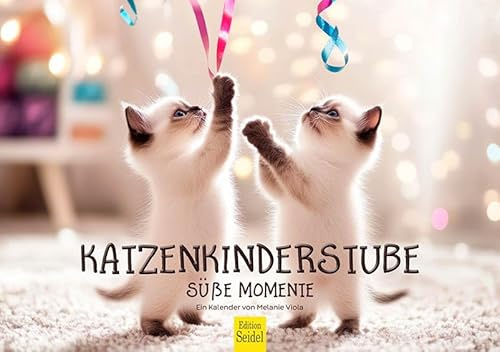 Edition Seidel Premium Kalender Katzenkinderstube 2026 Format DIN A5 Wandkalender Haustiere Kätzchen Katze Kater Kitten Melanie Viola
