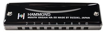 Suzuki HA20D Hammond Mundharmonika, diatonisch, D-Dur, 10 Öffnungen, Schwarz