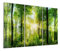 DEQORI Glasbilder Echtglas | Motiv Sonne durchbricht Wald | horizontal 3-teilig 150x100 cm | große XXL Deko | Wandbilder für Wohnzimmer, Schlafzimmer, Flur & Küche | moderne Wanddeko