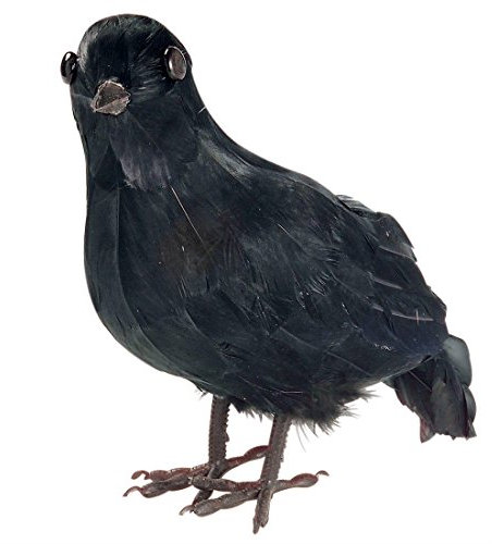 NET TOYS Deko Krähe mit Federn Schwarzer Rabe Spuk Vogel Horror Dekofigur Hexe Figur Halloween Raumdeko Deko Dekoration