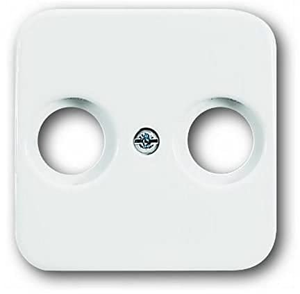 Busch-Jaeger BUSC Zentralscheibe 2531-214