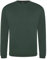 Pro RTX Pro Sweat Shirt up to Size 7XL, bottle green, XXXXXL