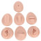 Piercing Parties du Corps, Doux Modèle de Piercing en Silicone pour Présentoir à Bijoux, Oreille Humaine Bouche Oeil Faux Piercing Nez Professionnel Trousse de Piercing au Nombril (Couleur de Peau