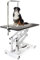MaxxPet Trimmtisch für Hunde - Pflegetisch für Hund und Katze mit verstellbarem Arm - Dog Grooming Table - Hunde Badetisch - Schertisch auch für Hundefriseur - Frisiertisch Hund - 108x60x170 cm