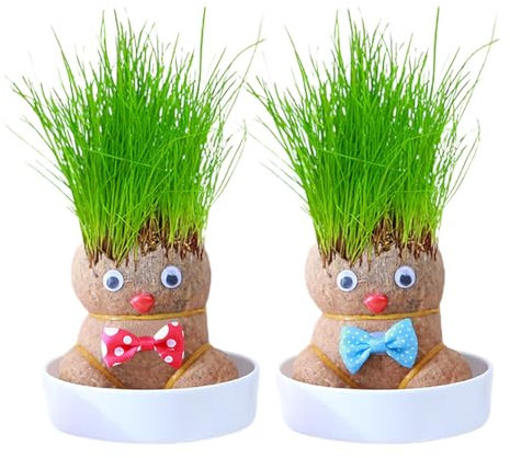 Gras -Puppenanbau -Kit - 2PCS Gras Kopfpuppe Pflanze | Desktop Wachsen -grüne Pflanze | Desktop -Pflanzer -Graskopfpuppe | Süßes Und Lustiges Puppenkopfpflanzer Für Wohnzimmer, Studienzimmer, Sch