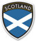 2 x Scotland Vinyl Sticker iPad Laptop Car Bike Helmet Scottish Flag #4600 (8.6cm Wide x 10cm Tall)