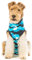 Suitical Recovery Suit Hund, XXXS, Blau Camouflage