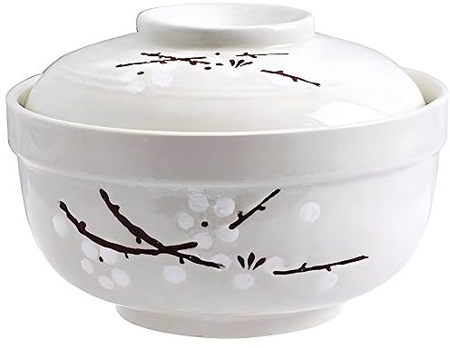 Whitenesser Bol à céréales en céramique avec couvercles, grande soupe asiatique ramen nouilles bol en céramique avec couvercle pour soupe, salade, pâtes et nouilles