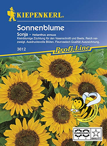 Kiepenkerl 3614 Sonnenblume Sonja (Sonnenblumensamen)