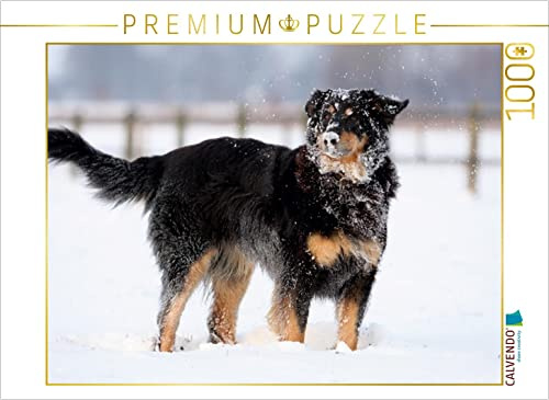 CALVENDO Puzzle Hovawart - Spass im Schnee | 1000 Teile Lege-Größe 64 x 48 cm Foto-Puzzle für glückliche Stunden