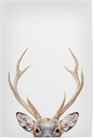 artboxONE Poster 30x20 cm Hirsch Tiere Deer Portrait (Color) hochwertiger Design Kunstdruck - Bild Deer Christmas Deer