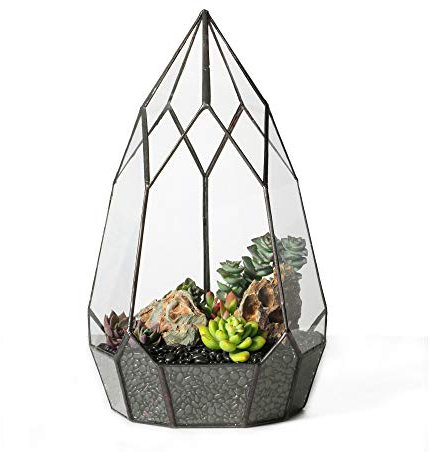 NCYP Grande Table Moderne teintée en Forme de Goutte en Verre Noir géométrique Terrarium Pot de Fleurs Balcon Bricolage Boîte de présentation pour Plantes succulentes Botanical Fougère Plantes