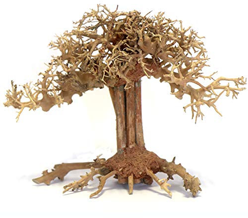 Bonsai Tree Pagoda Aquarium Fish Tank AquaScape Hand Picked & Hand Carved (Large 15cm)