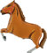 Pferd, Dunkelbraun, Riesenballon (nicht aufgeblasen)