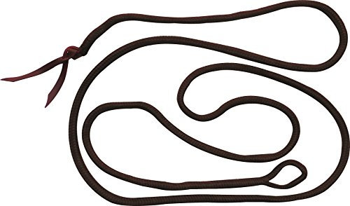 Ethologische Longe, braun