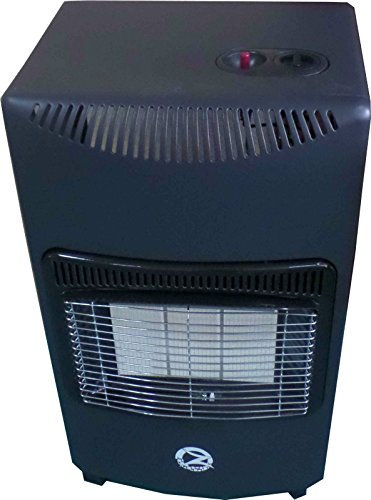 Portable Home Butane Fire Calor Gas Cabinet Heater With Regulator Hose New