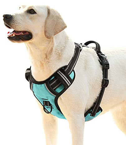 HEELE Hundegeschirr, No-Pull Hundegeschirr, Brustgeschirr für Mittelgroße Hunde, Weich Atmungsaktiv Einstellbar Reflektierend Hundegeschirr Anti Zug mit Gepolstert Griff, Türkis, XL